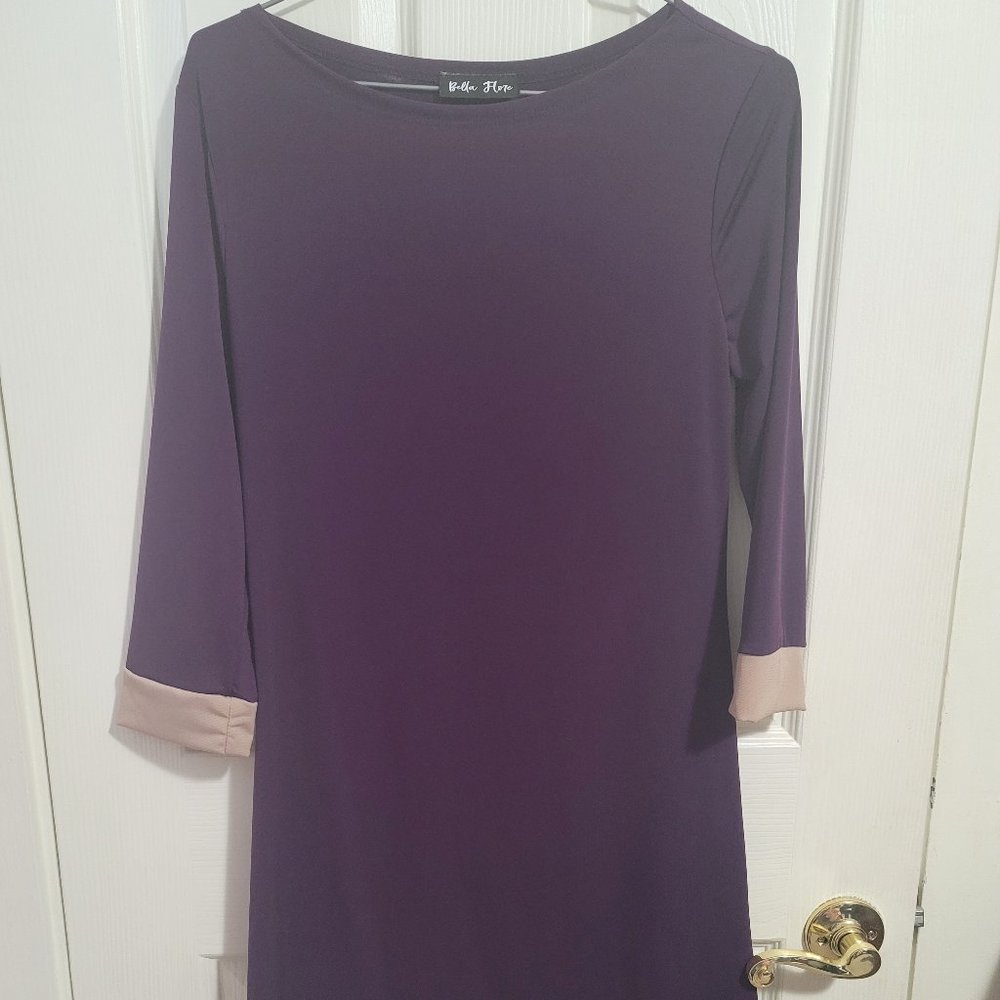 Purple & Beige Dress